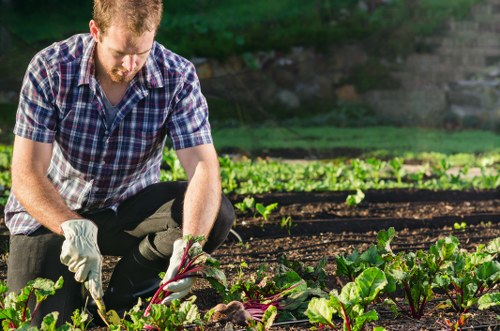 Landscaping team preparing a garden project outline