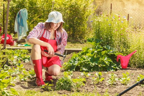 Garden makeover planning for a Hampstead property