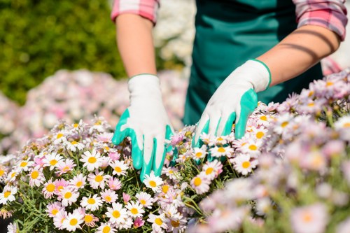 Keyboard navigation on a landscaping services webpage