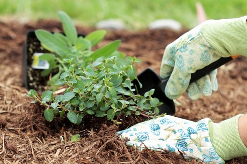 Final review of a resolved landscaping complaint in a garden setting