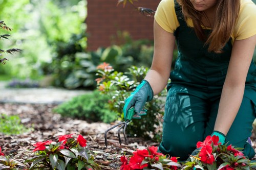 Garden landscaping materials and planning documents