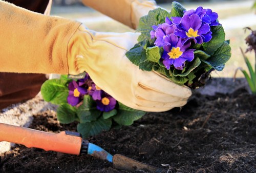 Improved patio and garden drainage with cleaner surface runoff