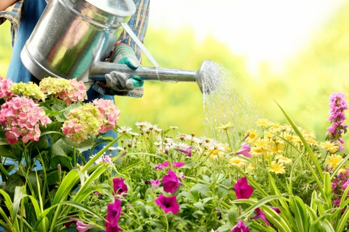 Marketing cookies for tailored landscaping content