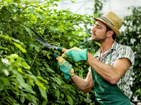 Risk assessment and safety checks before landscaping work