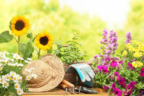 Preparing a Hampstead garden for a full makeover