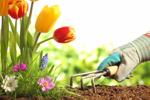 Supplier compliance checks in a landscaping procurement process