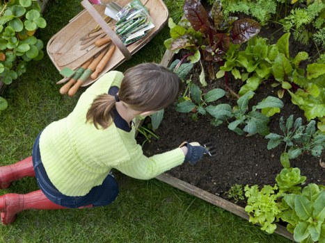 Structured planting and garden features in a Hampstead landscape