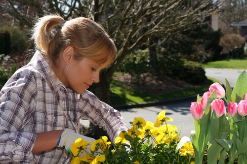 Manager assessing modern slavery risk controls in landscaping operations